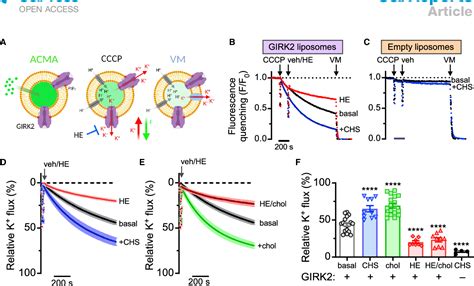 girk|Structural insights into GIRK2 channel modulation by cholesterol。